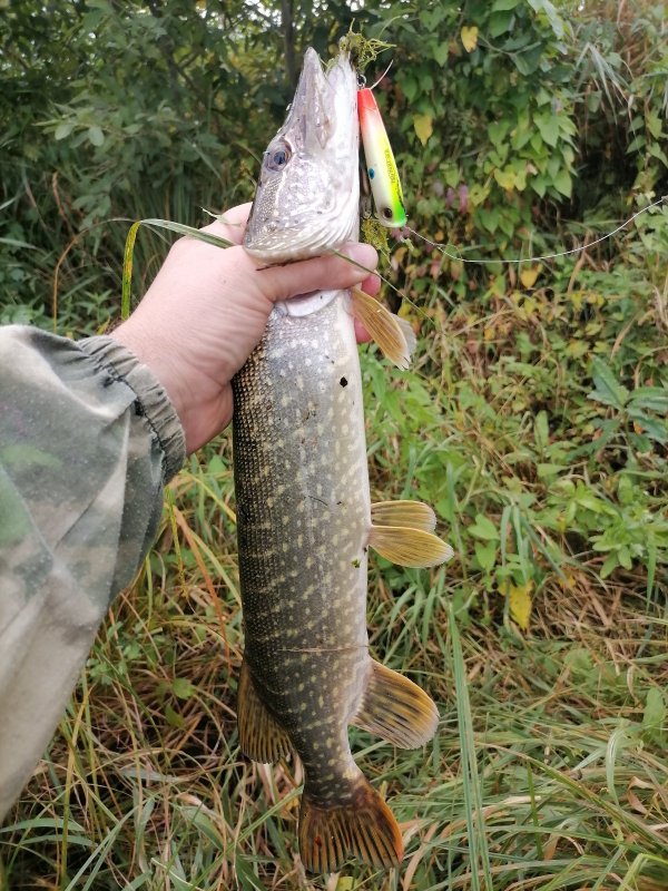 На поппер 20.08.2025