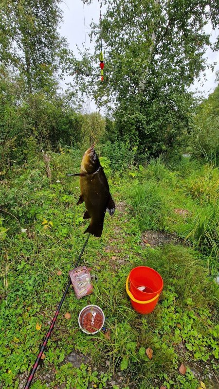 Красавец 👍👍👍