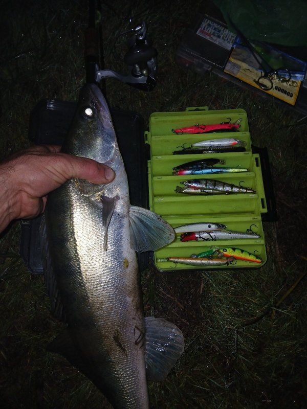 Победа за мной