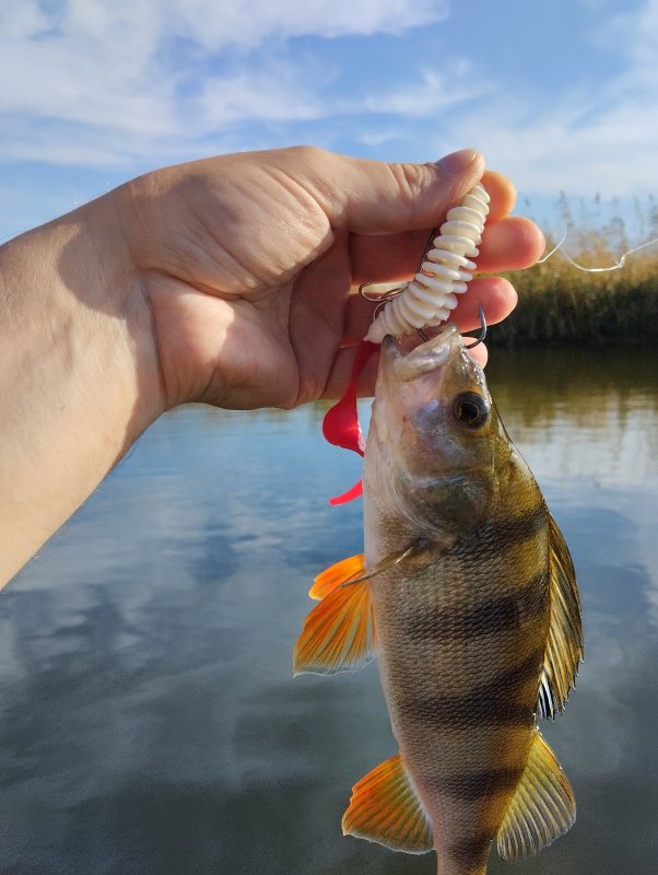 Матрос осенний...