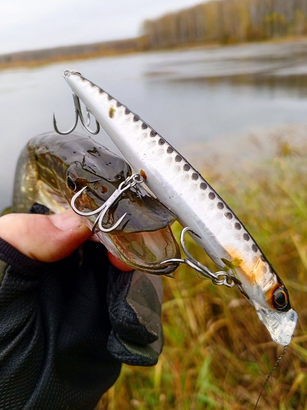 Рад за Раду! Первый заброс и сразу трофей!