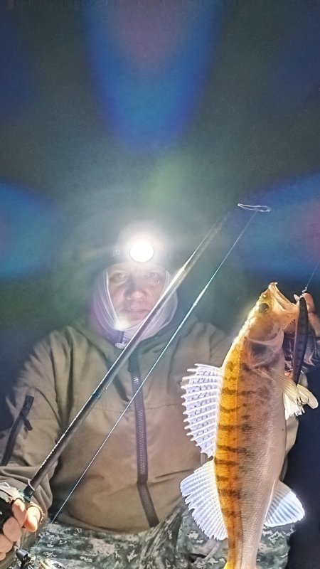 Рыбалка по ночному судаку на воблеры, июнь 2025г