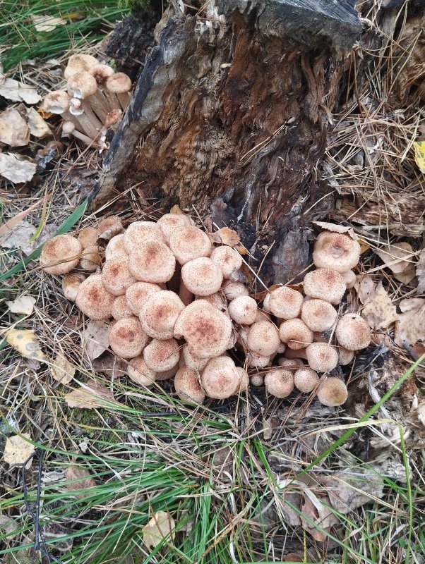 Последний "хит" сезона!..