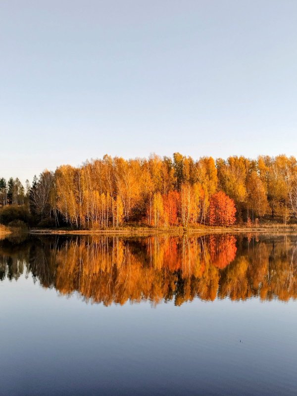 Утро на озере-2