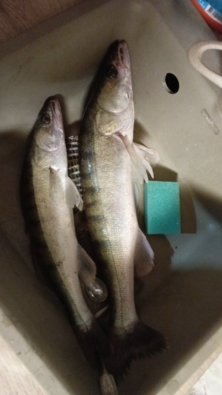 Вечер на Оби.