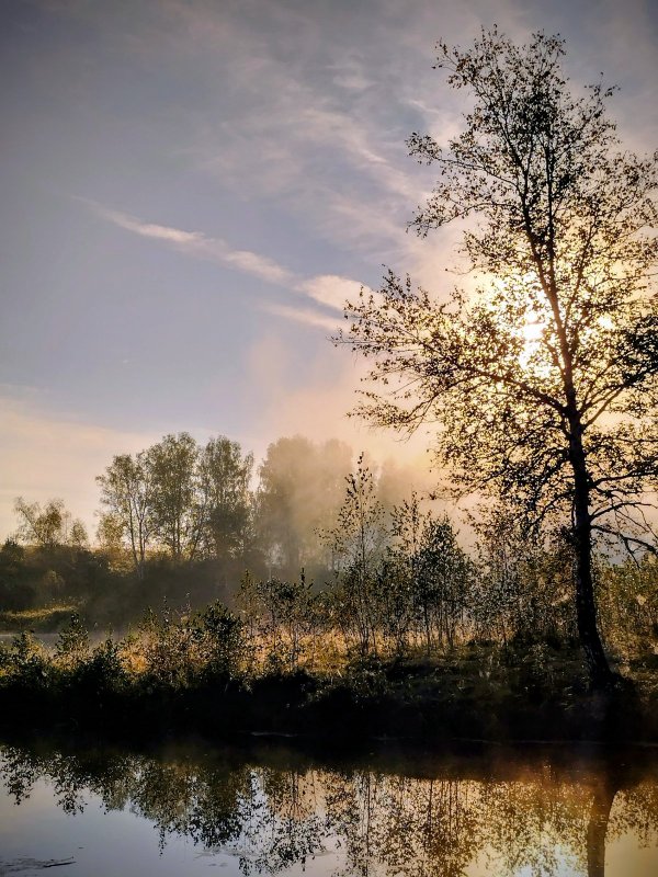 В дополнение