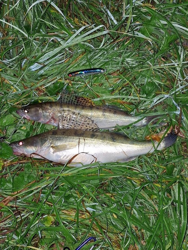 Стопять он рабочий!