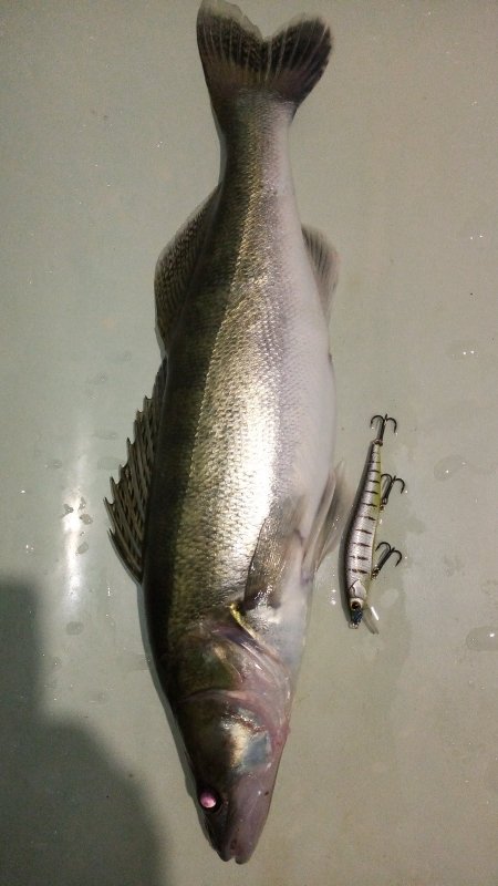 Осень не клево.