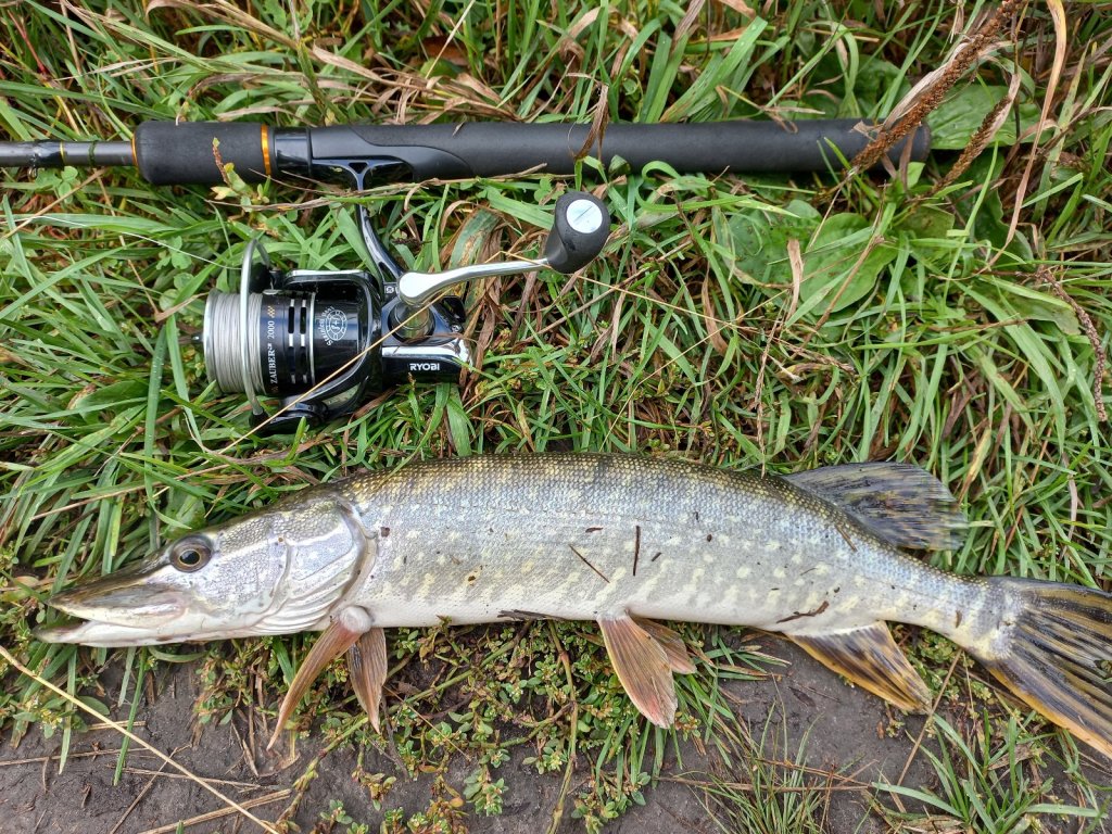Четвёртый день осени...