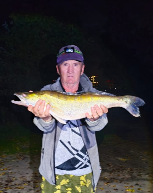 Одна поклевка, один рыб.