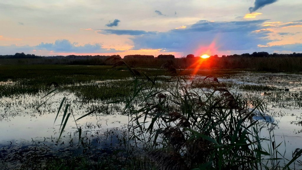 Красота вечера на озере...