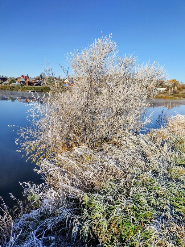 Морозное утро на озере-2
