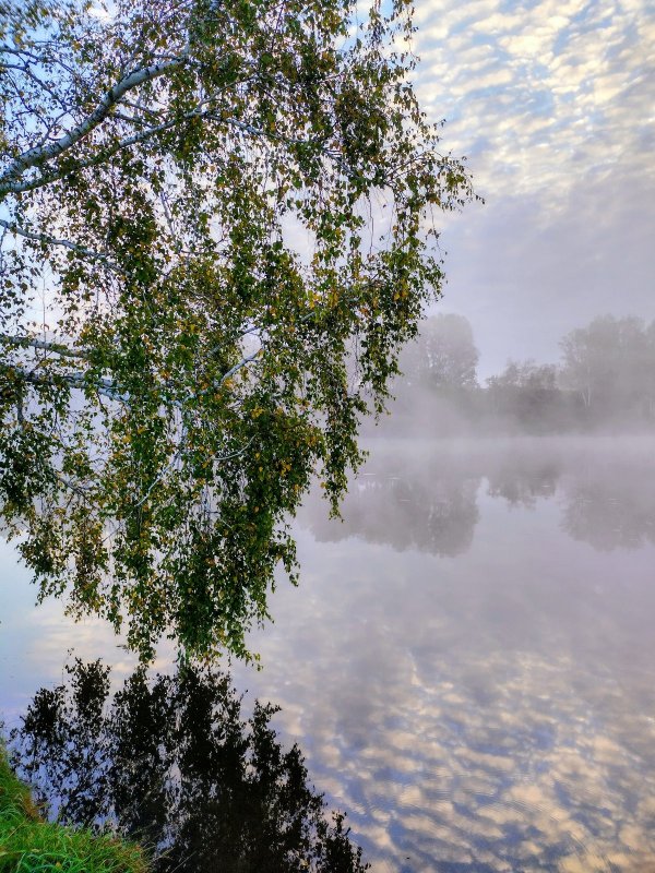 Озеро, утро