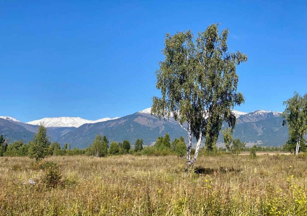 Алтайский пейзаж «Два сезона»