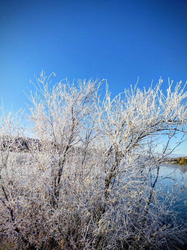 Морозное утро на озере-1