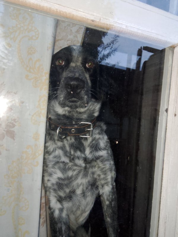 Когда закрыли и не взяли на рыбалку