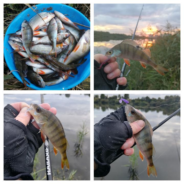 Сентябрьским вечером.