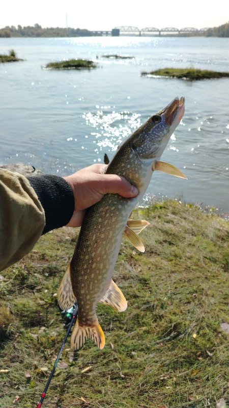 На Бугринском.