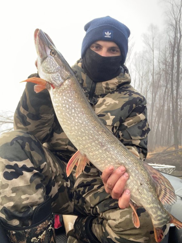 Обь, коряги, фиолетовый Формат дипломат