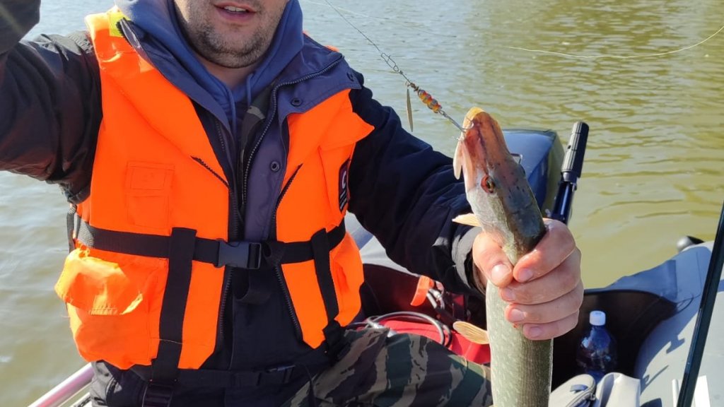 Отличные выходные на рыбалке: щука, уха и душевная компания!