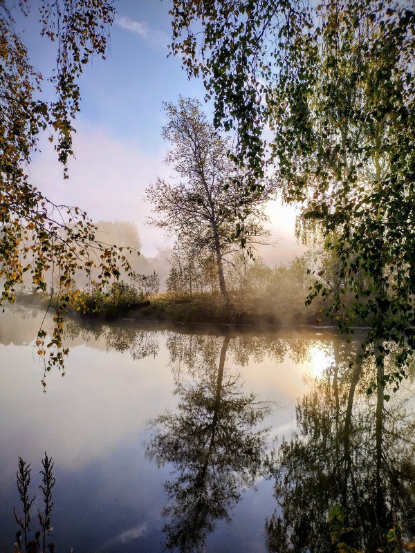 Озеро, утро