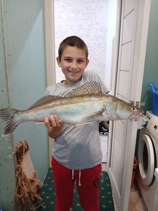 Ночной охотник