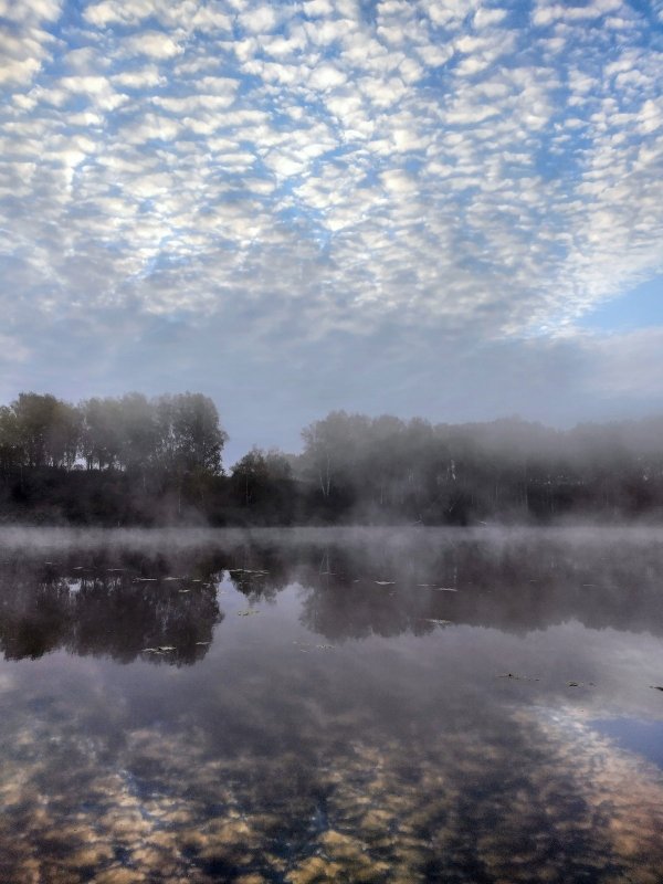 Озеро, утро