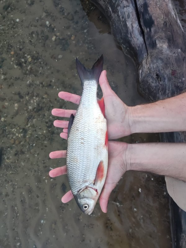 Вечер воскресенья.