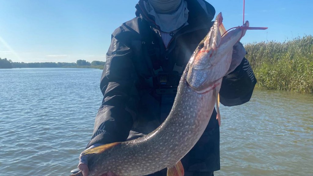 «Золотая осень 2025»: день 2-й