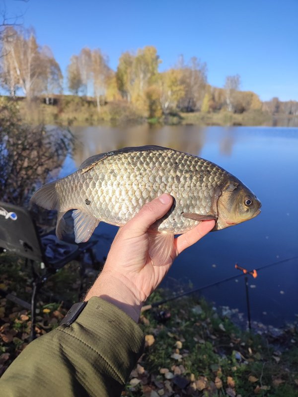 Осенний пузанчик