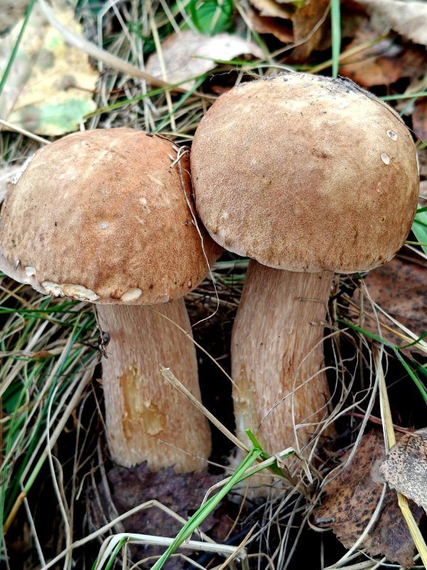 "Тихая" рыбалка.