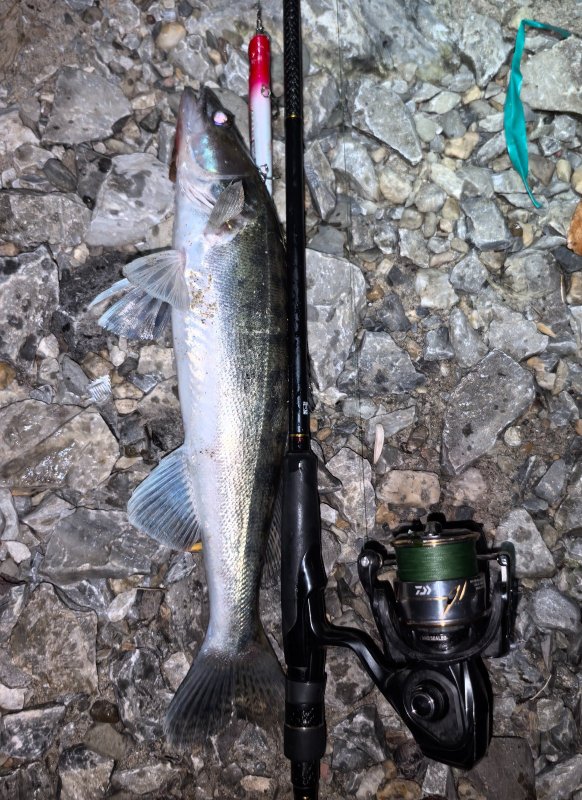 Опять один.