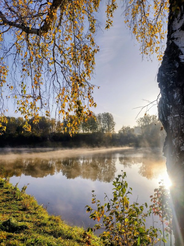 Озеро, утро