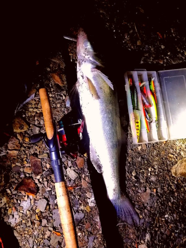 За вечер одна поклевка.