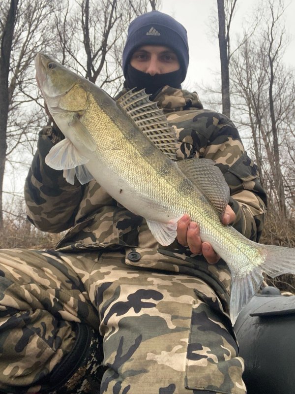 Мой трофей 3.600 коряги Обь.