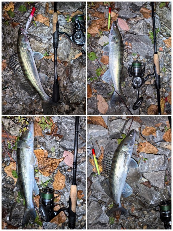 С берега на воблеры, темно...