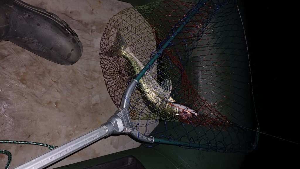 Ночь-Обь-Судак