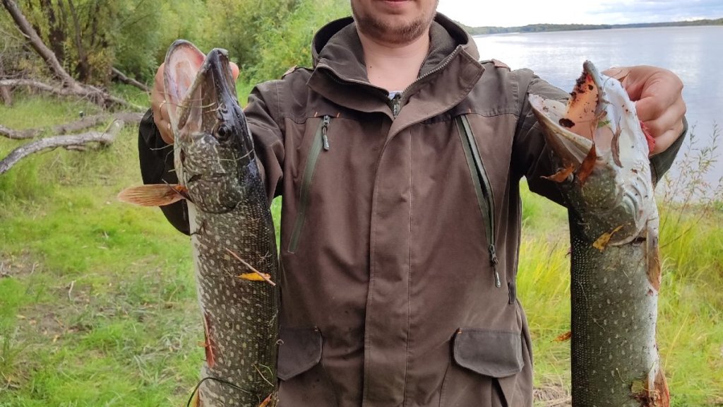 Утренний выезд за щукой в середине сентября