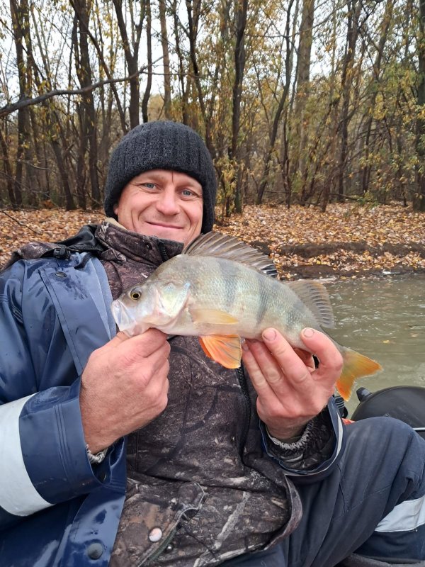 В черте города