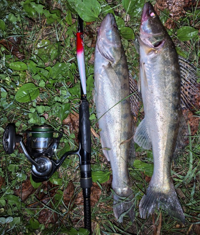 Пара. 3 часа рыбалки...