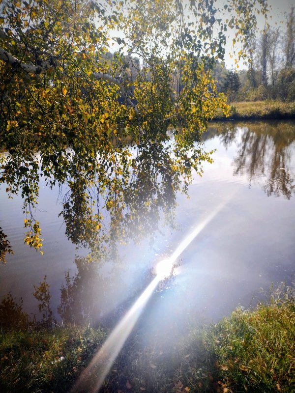 Озеро, день