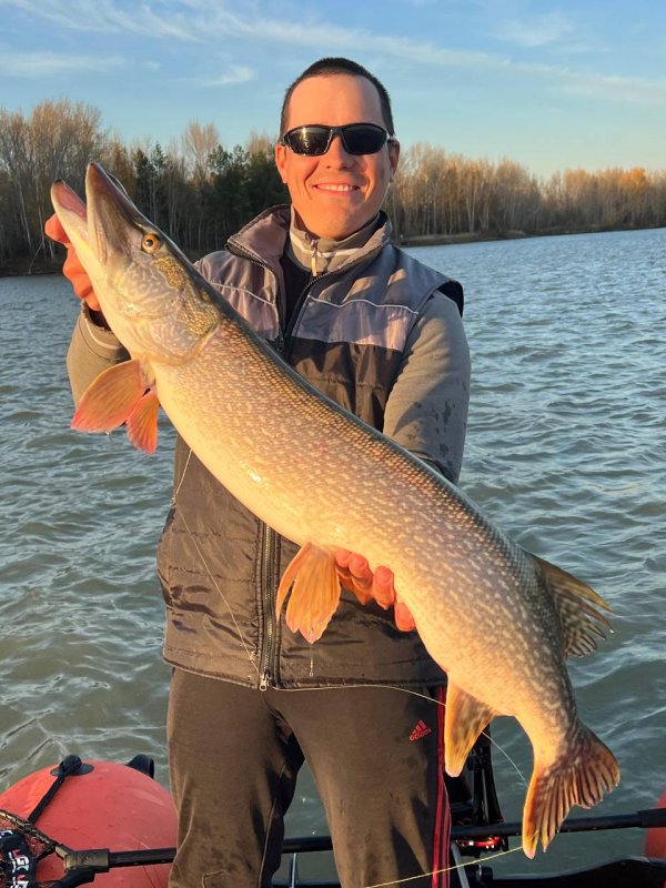 Осенняя Обская Маманя.6300.