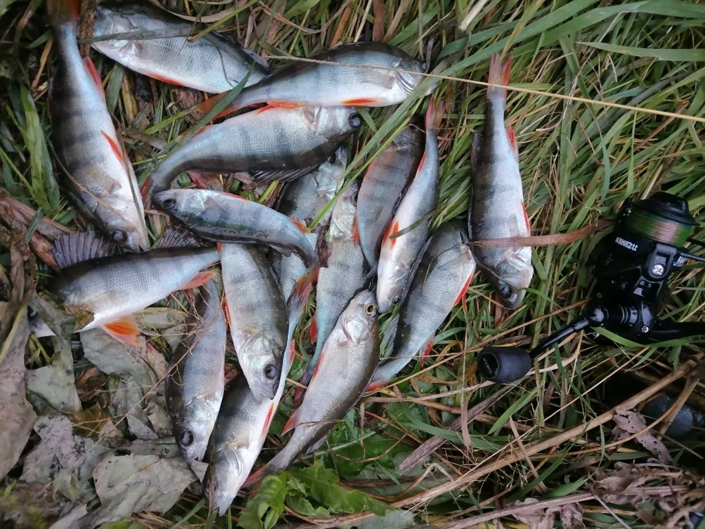 Юго-Западный.