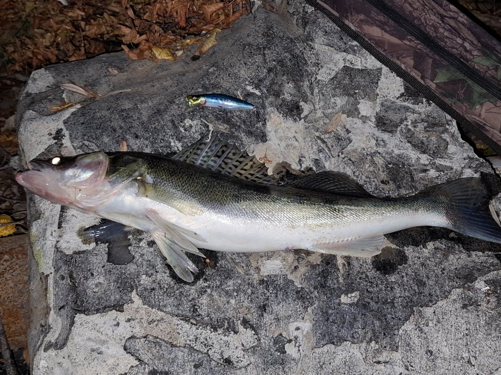 ННУ (Ныть Нужно Уметь).