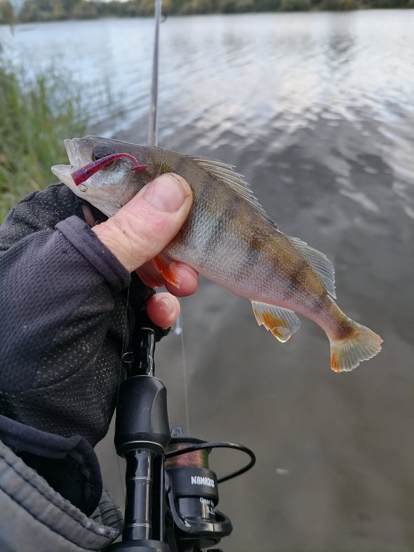 Очередной матрос.