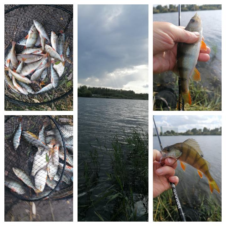 Юга. 3 сентября.