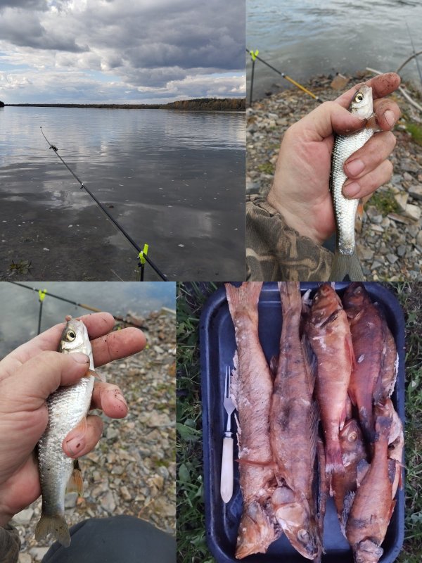 Елец клевал исправно!..