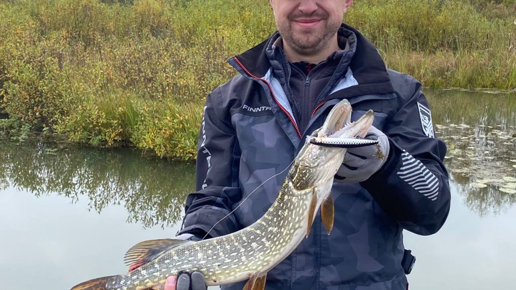 Rada Minnow - гроза осенних щук!