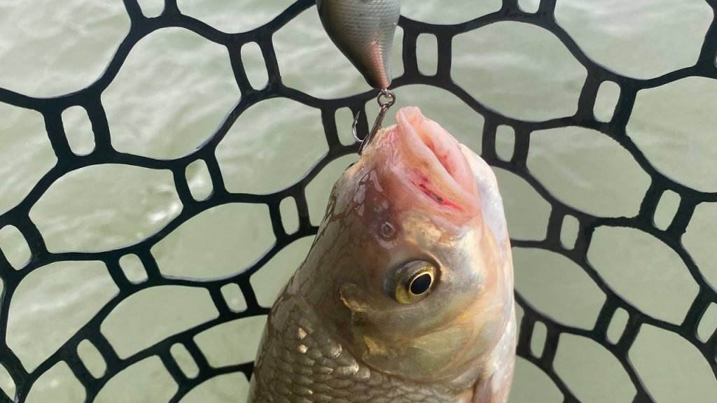 Продолжаю эксперименты со звучанием крэнка.