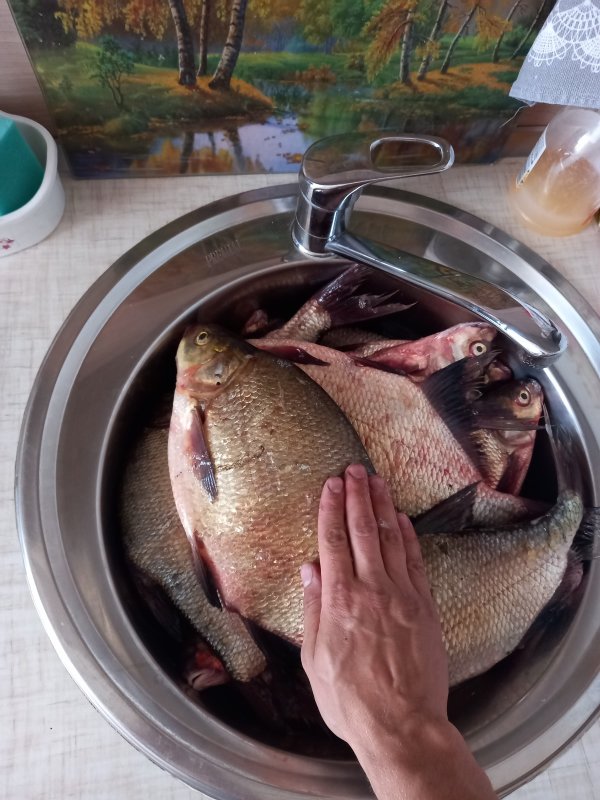 Улов с нашего плота